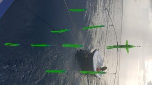 20160312_170849