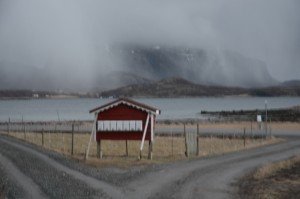 DSC_0195 (640x424)
