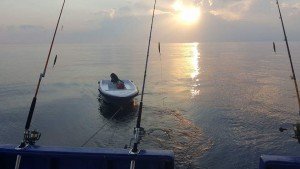 FB_IMG_1459085716766