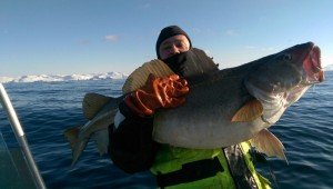 IMG-20160321-WA0003