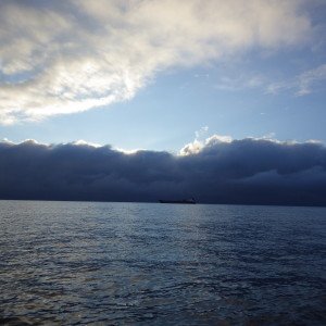 IMGP1135