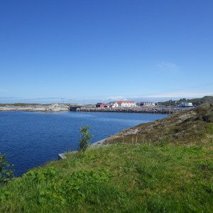 IMGP1138