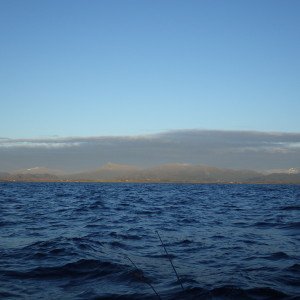 IMGP1158
