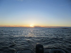 IMG_1225