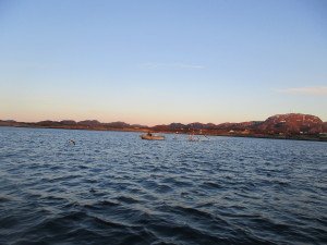 IMG_1226