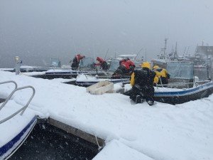 IMG_4343