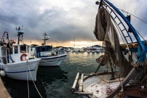 IMG_9021