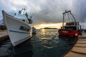 IMG_9051