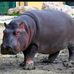 screenshot_2016-03-29-20-16-48-1