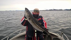 WP_20160324_10_47_12_Pro (640x361)