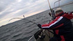 WP_20160326_18_09_18_Pro (640x361)