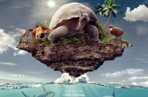 co-ukryva-kouzelne-souostrovi-aldabra