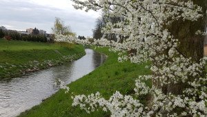 20160416_082930