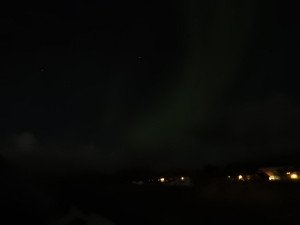 DSCN1111
