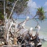 fb_img_1459481866863-2