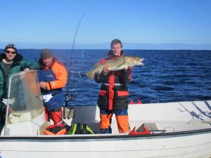IMG_0017