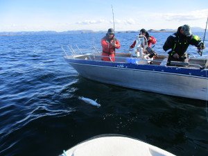 IMG_0032