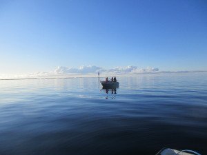 IMG_0037