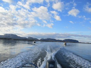 IMG_0041