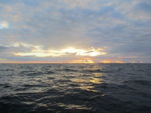 IMG_0042