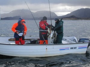 IMG_0072