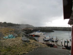 IMG_0094