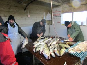 IMG_0095