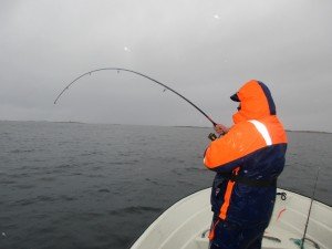 IMG_0099 (1024x768)