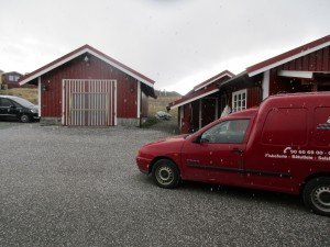 IMG_0110 (1024x768)