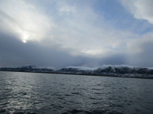 IMG_0121 (1024x768)