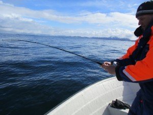 IMG_0123 (1024x768)