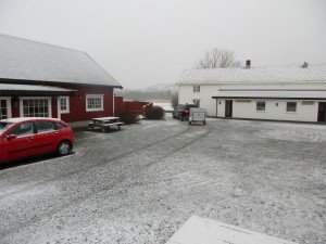 IMG_0132 (1024x768)