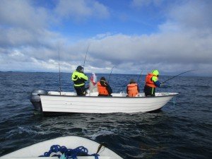 IMG_0134 (1024x768)