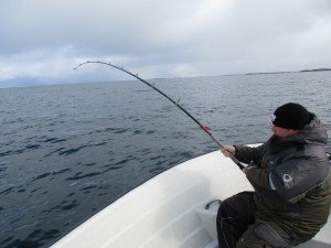 IMG_0135 (1024x768)