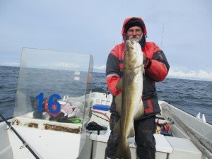 IMG_0144 (1024x768)
