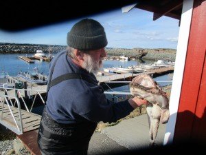 IMG_0157 (1024x768)