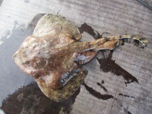 IMG_0159 (1024x768)