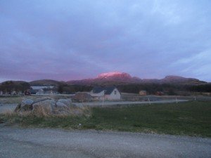 IMG_0180 (1024x768)