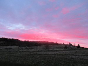 IMG_0183