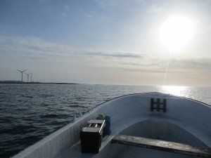IMG_1282