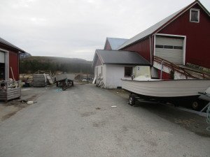 IMG_1292