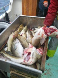 IMG_20160412_124407