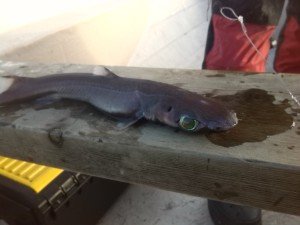 IMG_20160412_184632