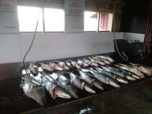 IMG_20160417_143350