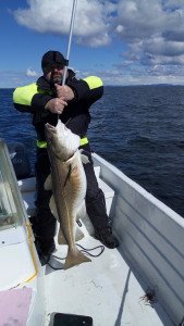 IMG_20160425_134457