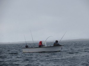 IMG_2241 (1024x768)