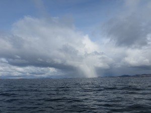 IMG_2246 (1024x768)