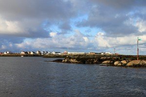 IMG_3148