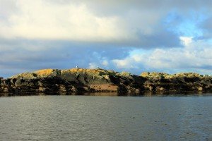 IMG_3150