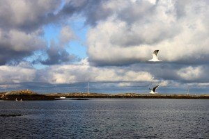IMG_3158